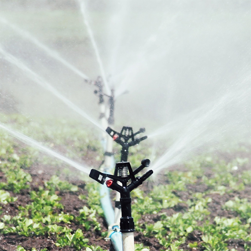 À quoi faut-il faire attention lors de l'utilisation de l'irrigation goutte à goutte agricole?